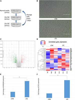 Co-inhibition of CD73 and ADORA2B Improves Long-Term Cigarette Smoke Induced Lung Injury